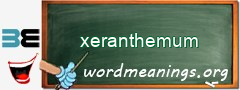 WordMeaning blackboard for xeranthemum